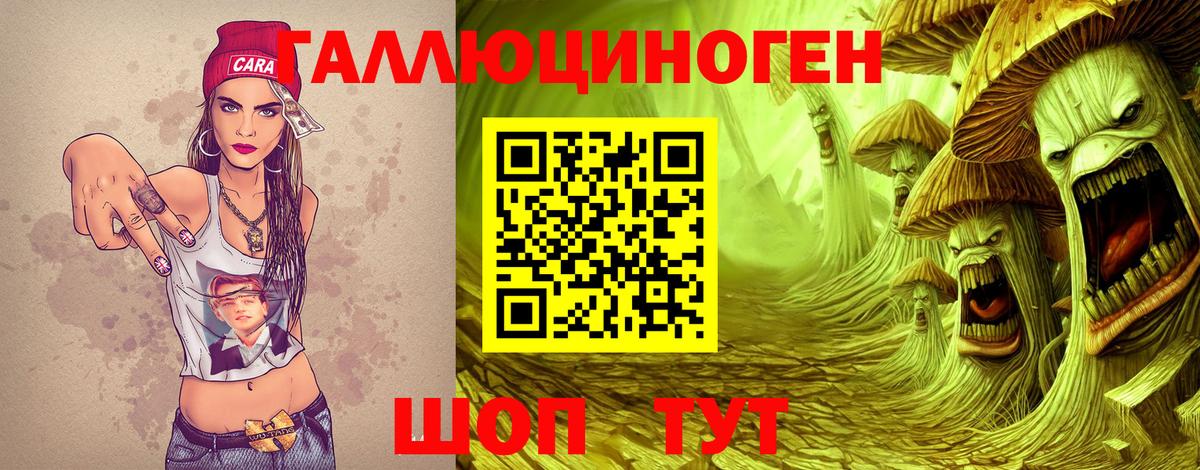 Галлюциногенные грибы Psilocybe Мурманск
