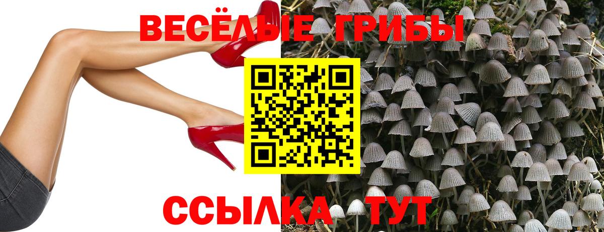 Галлюциногенные грибы Psilocybine cubensis  Галлюциногенные грибы Magic Shrooms  Мурманск  Вход с VPN 